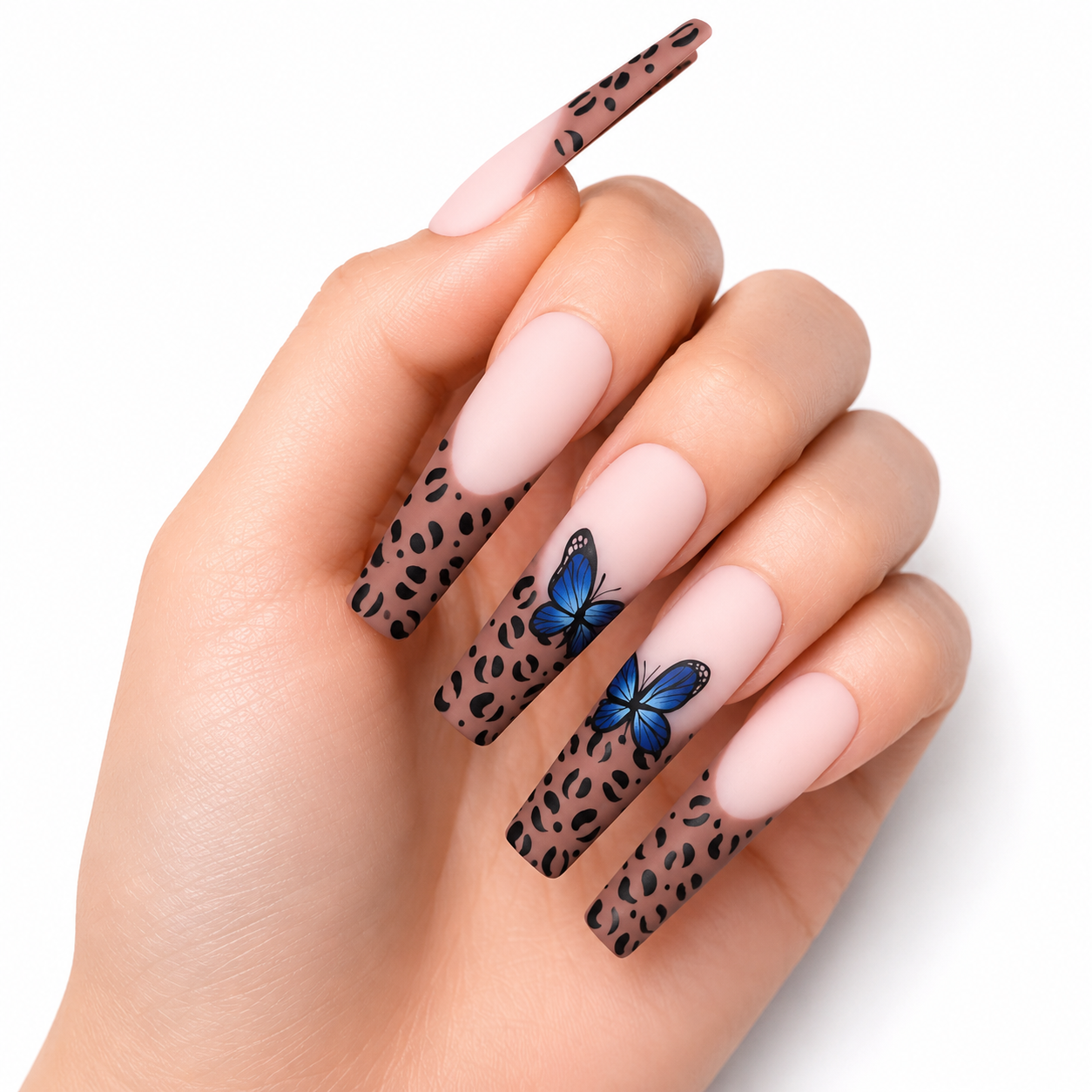Wild Leopardess